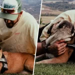 “Roscoe Forever”: The Heartbreaking Farewell to Lewis Hamilton’s Best Friend