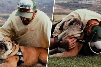 “Roscoe Forever”: The Heartbreaking Farewell to Lewis Hamilton’s Best Friend