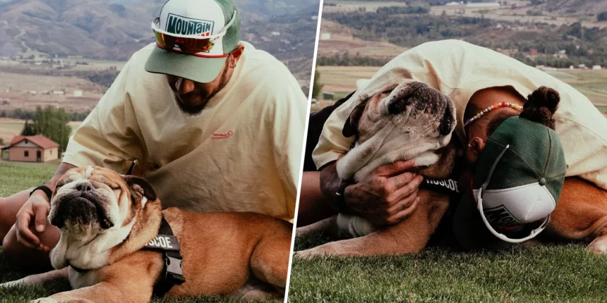 “Roscoe Forever”: The Heartbreaking Farewell to Lewis Hamilton’s Best Friend
